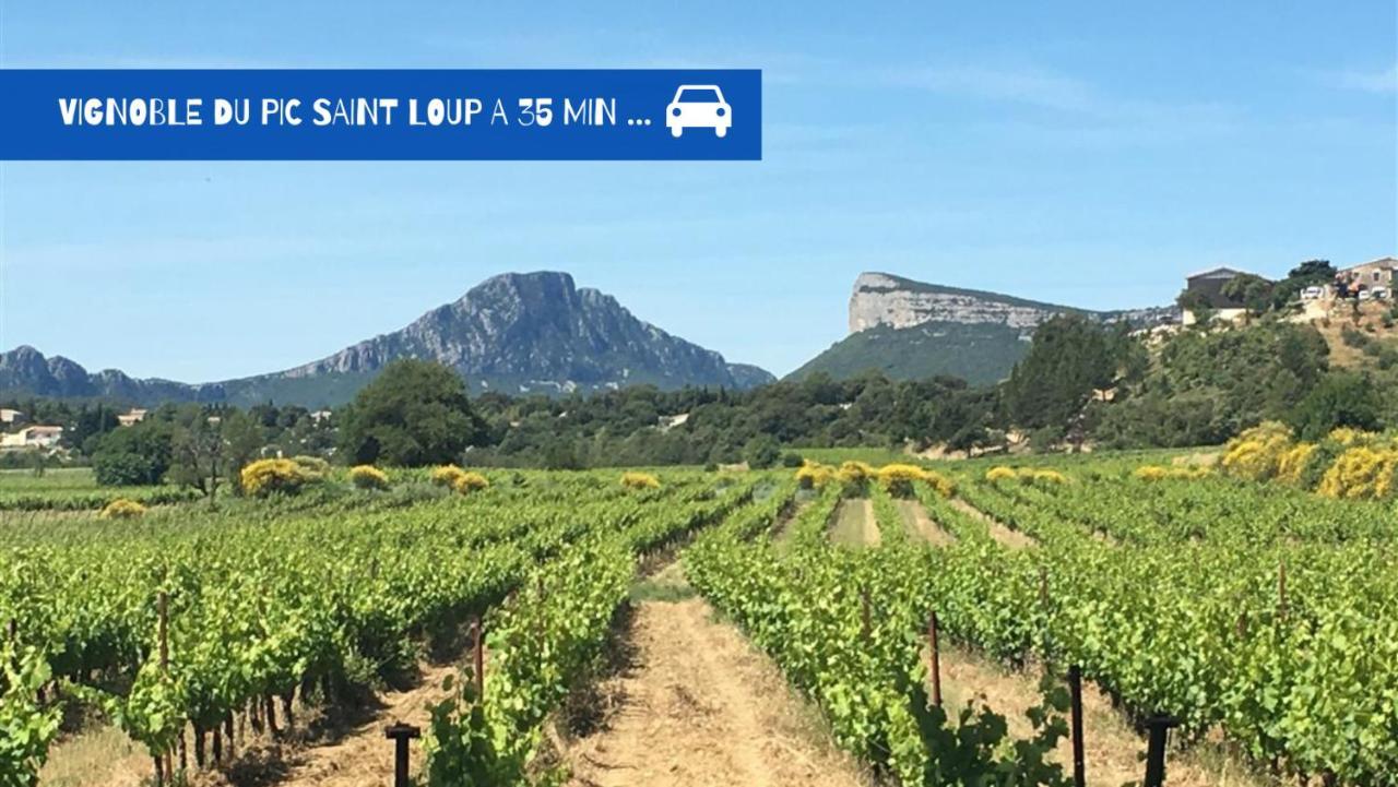 Uncourtsejour - Montpellier Gare - Parking Apartment Ngoại thất bức ảnh